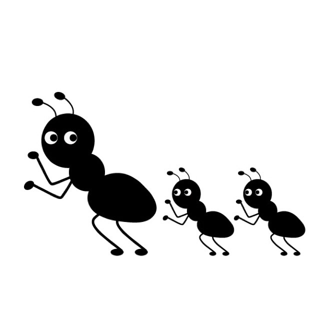 蟻の一生